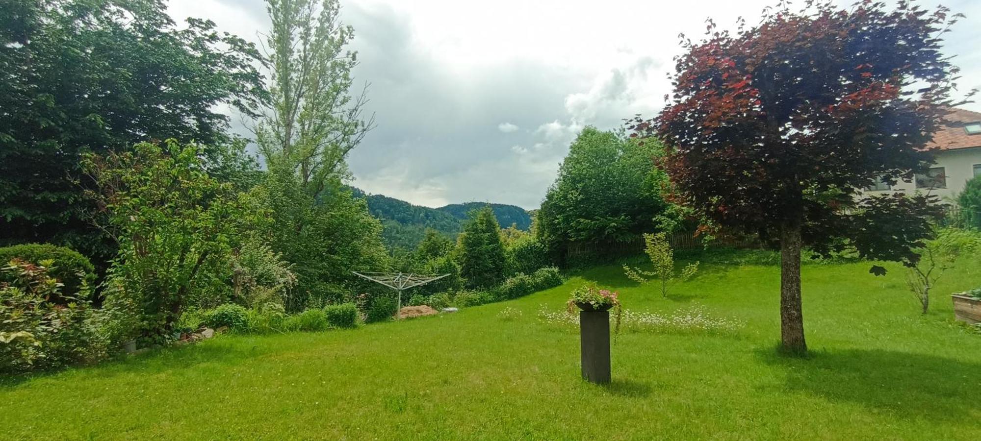 Haus Pieschl Apartment *
